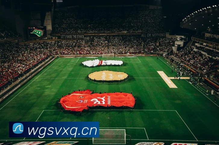 开云官网APP 高清赛事图